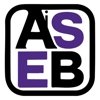 ASEB Consulting gallery