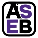 ASEB Consulting - Internet Marketing & Advertising