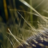 General Pest Control gallery