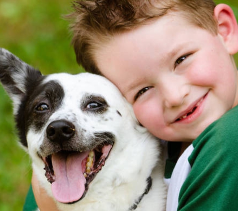 Warwick Town & Country Vets - Warwick, QLD