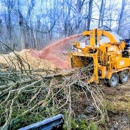 Little Stevie's Tree Work - Tree Service