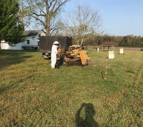 Wayne's Stump Grinding