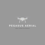 Pegasus Aerial