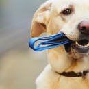 Happy Dog Baltimore - Pet Specialty Services