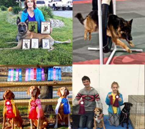 Tecla's K9 Academy - Elkridge, MD