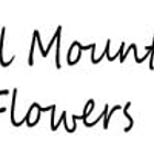 Coal Mountain Flowers