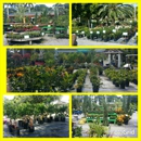 Meyer's Turf & Landscape Nursery - Lawn & Garden Equipment & Supplies