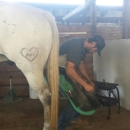 Double B Horseshoeing