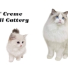 LATTENCREME RAGDOLL CATTERY gallery