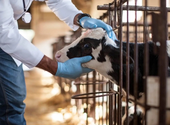Ashcroft Veterinary Surgeons - Ashcroft, NSW