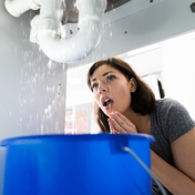 Gallery Image Number 5