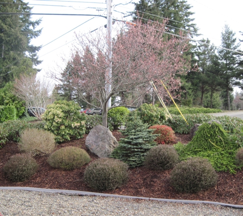 C & C Landscaping Service - Coos Bay, OR