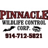 Pinnacle Wildlife control gallery