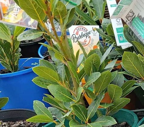 Colchester Nursery - Kilsyth South, VIC