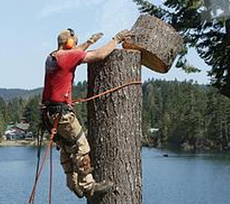 Rudy's Landscaping & Tree Service - Lake Elsinore, CA