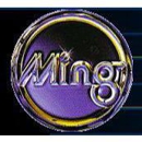 Ming Auto Beauty Center - Windshield Repair