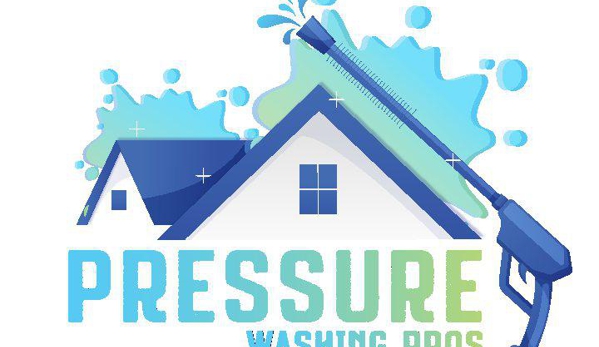 Pressure Washing Pros