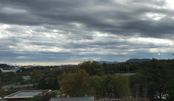 Sheraton Roanoke Hotel & Conference Center - Roanoke, VA