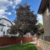 TOHO Tree Care gallery