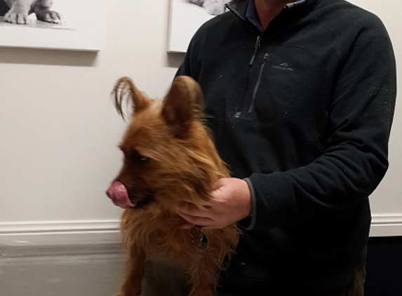 North Randwick Veterinary Clinic - Randwick, ACT. Dr Raoul Denny