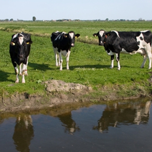 Boutique Tankers - Penrice, SA. We Supply Water For All Rural & Farm Applications