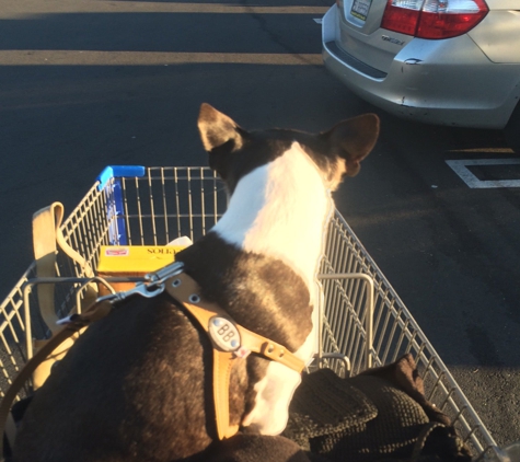 Walmart - San Clemente, CA