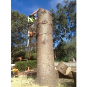 Gallery Image Number 7