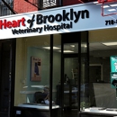 Jillian Gueli - Heart of Brooklyn Veterinary Hospital - Flatbush - Veterinarians