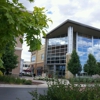 Council Tree Library gallery