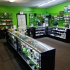 The Green Remedy gallery