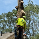 Teran Tree Experts