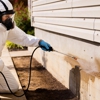 Bening Pest Management gallery