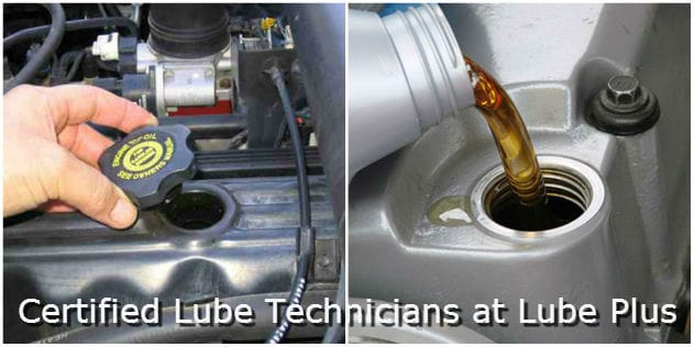 Certified Lube Technicians at Lube Plus, Fresno, CA