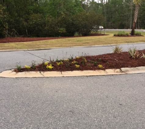 Hutton's Landscapes - Savannah, GA. Cheap flowers with pine straw sprinkled on top of them.