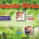 Alexander Cleaners