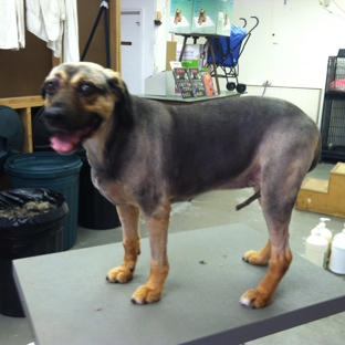 My Favorite Groomer LLC - Haltom City, TX