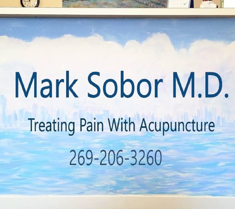 Mark Sobor, MD - South Haven, MI