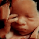 Womb Bloom - Pregnancy Information & Services