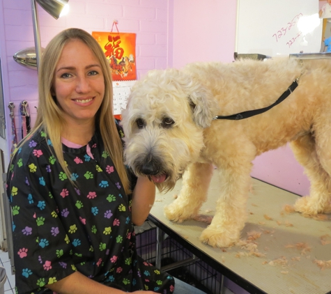 Groomies Pet Salon - North Palm Beach, FL