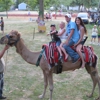 Nature's Creek Camel Rides/Exotic Zoo gallery