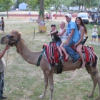 Nature's Creek Camel Rides/Exotic Zoo