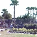 Cedars West