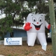 Clearwater Dentistry