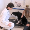 Tender Loving Care Animal Hospital, P.C. - Veterinarian Emergency Services