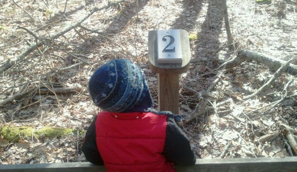 Rachel Carson National Wildlife Refuge - Wells, ME