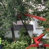 New Heights Tree Service gallery