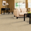 Best Steam Carpet & Tile Cleaning gallery