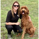 The Collar Club Academy - Dog Training