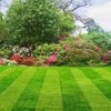 Taylor Made Lawn Care gallery