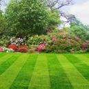 Taylor Made Lawn Care - Landscaping & Lawn Services